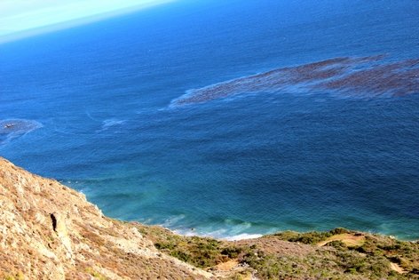 ��������� ����������